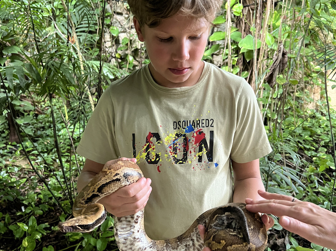 Croco Cun Zoo-从莫雷洛斯港必去景点