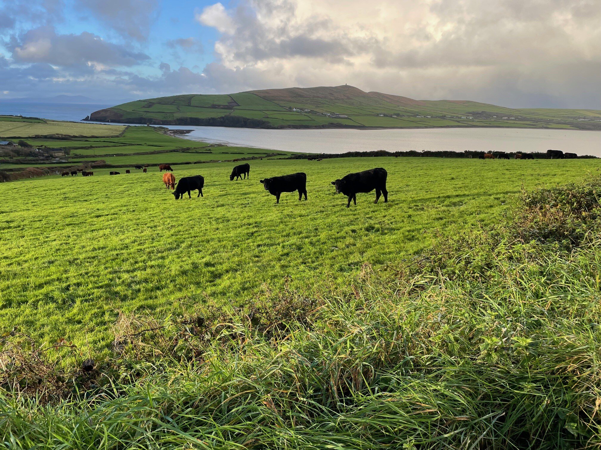 Pax Guest House-浴室