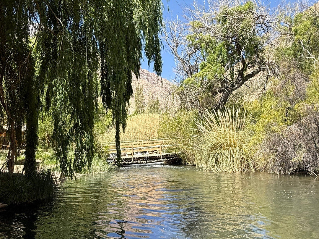 Tourmisticos-Pisco Elqui必去景点