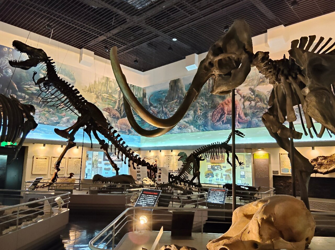 Takikawa Museum of Art and Natural History-泷川市必去景点