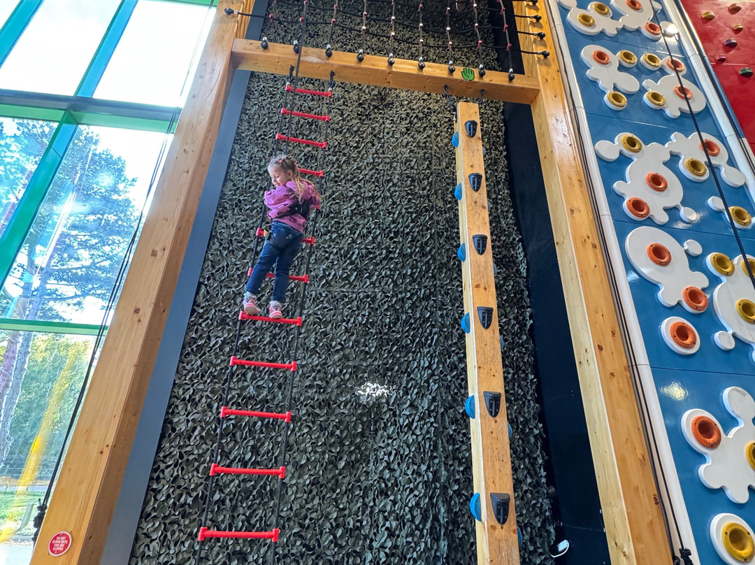 Clip 'n Climb Ipswich-伊普斯威奇必去景点