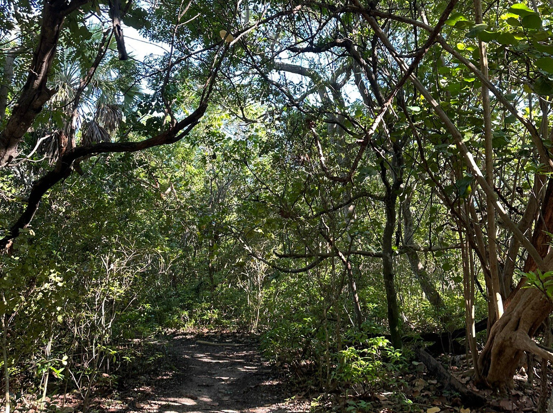 Hugh Taylor Birch State Park-劳德代尔堡必去景点