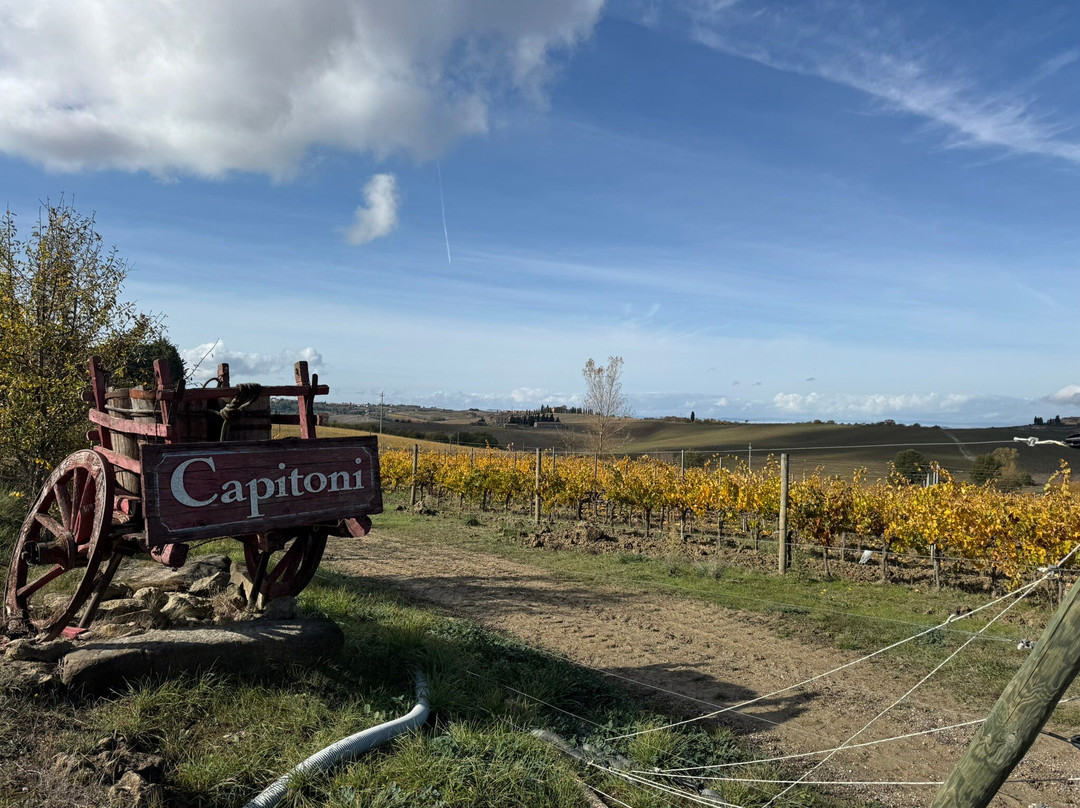 Capitoni Marco Azienda Agraria