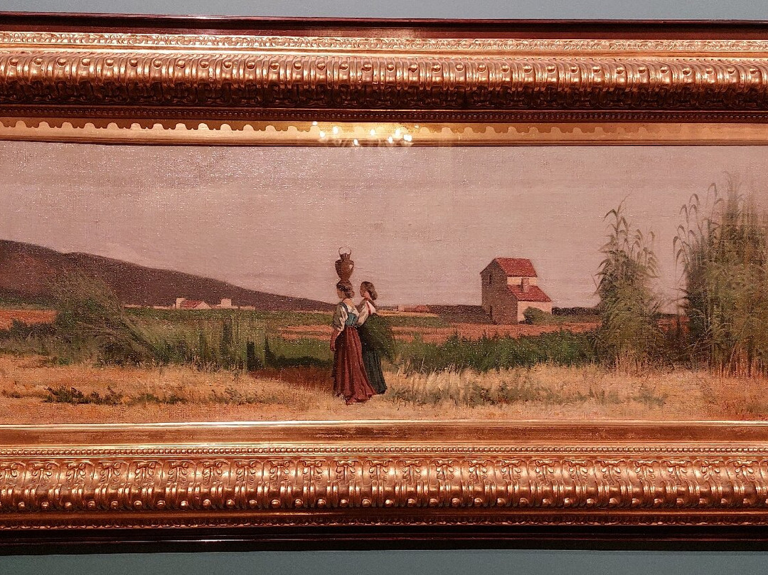 Museo Civico Giovanni Fattori-里窝那必去景点