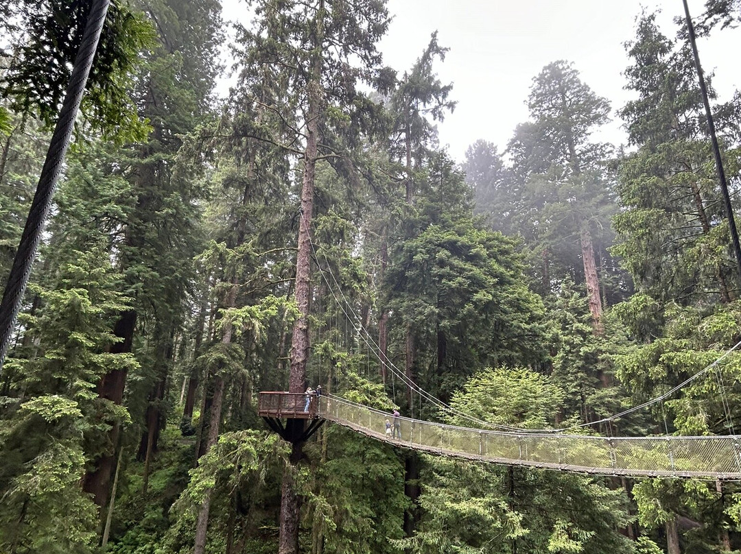Sequoia Park Garden-尤里卡必去景点