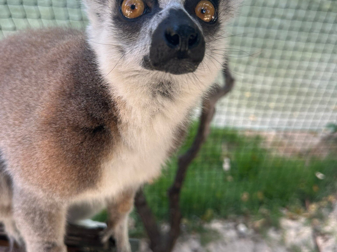 Island Vibe Destinations-Spanish Town必去景点