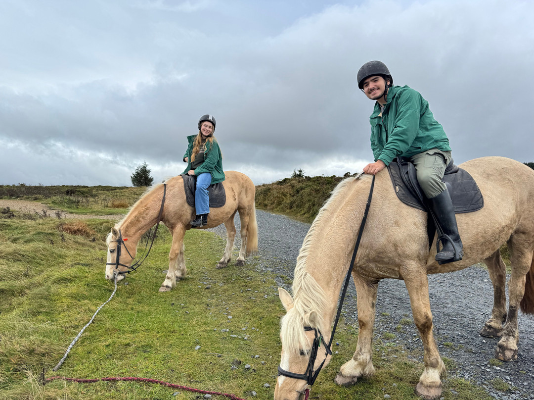 The Paddocks Riding Centre-都柏林必去景点