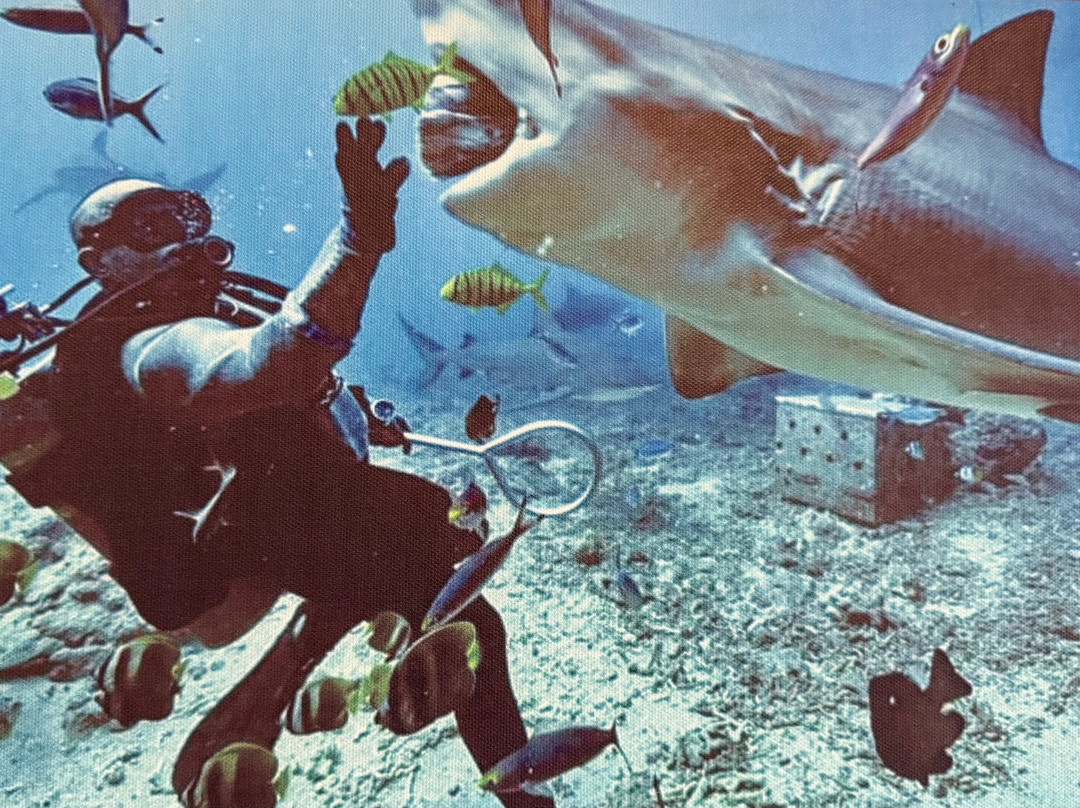 Coral Coast Divers-太平洋港必去景点