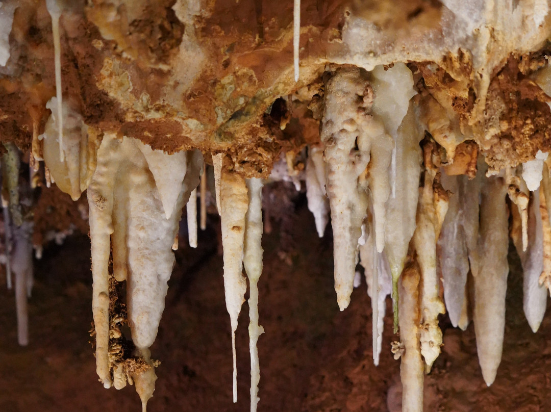 Grotte de Saint-Cézaire-Saint-Cezaire-sur-Siagne必去景点
