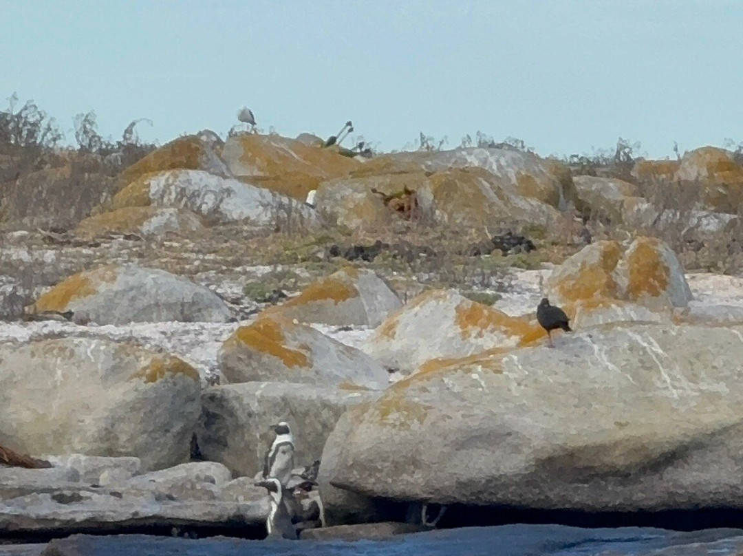 Yzerfontein Sea Sport-Yzerfontein必去景点