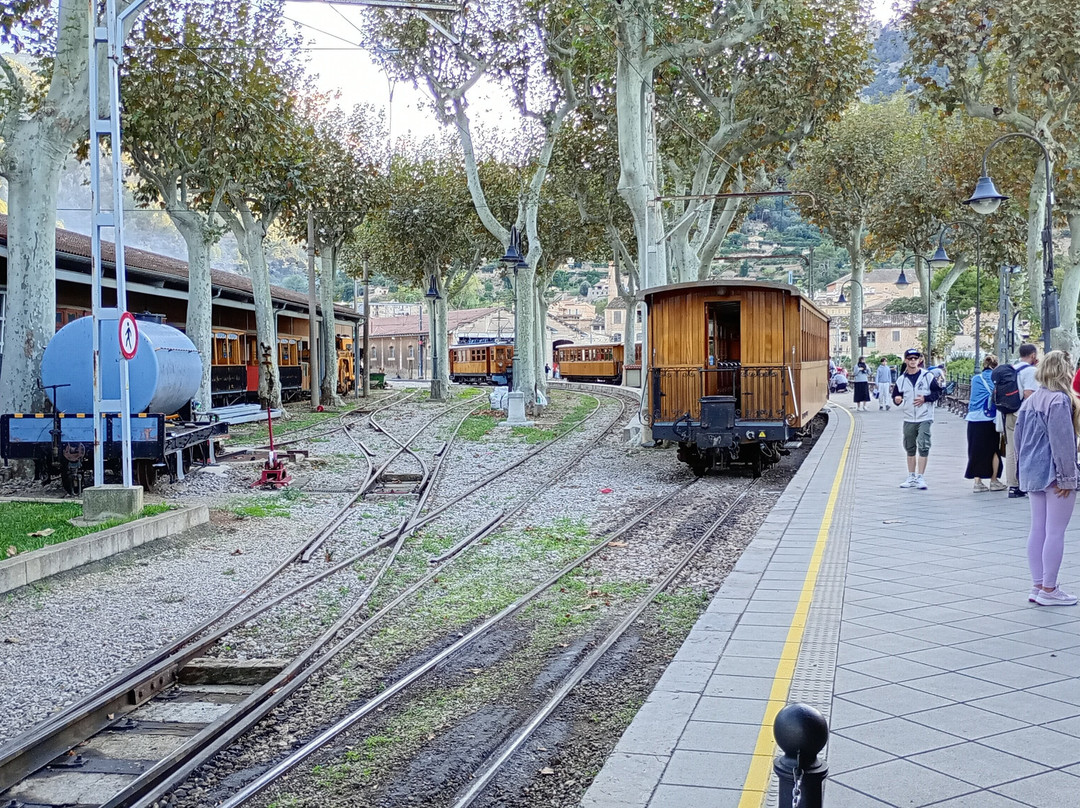 Tren de Sóller-索耶尔必去景点