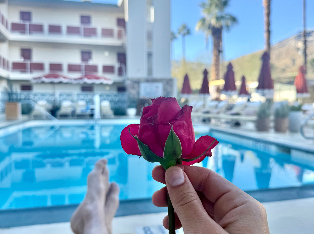 皇家太阳酒店主图