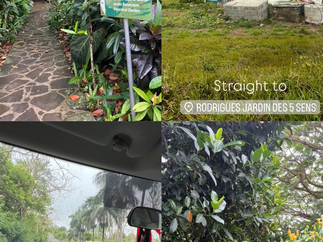Jardin des 5 Sens-罗德里格斯岛必去景点