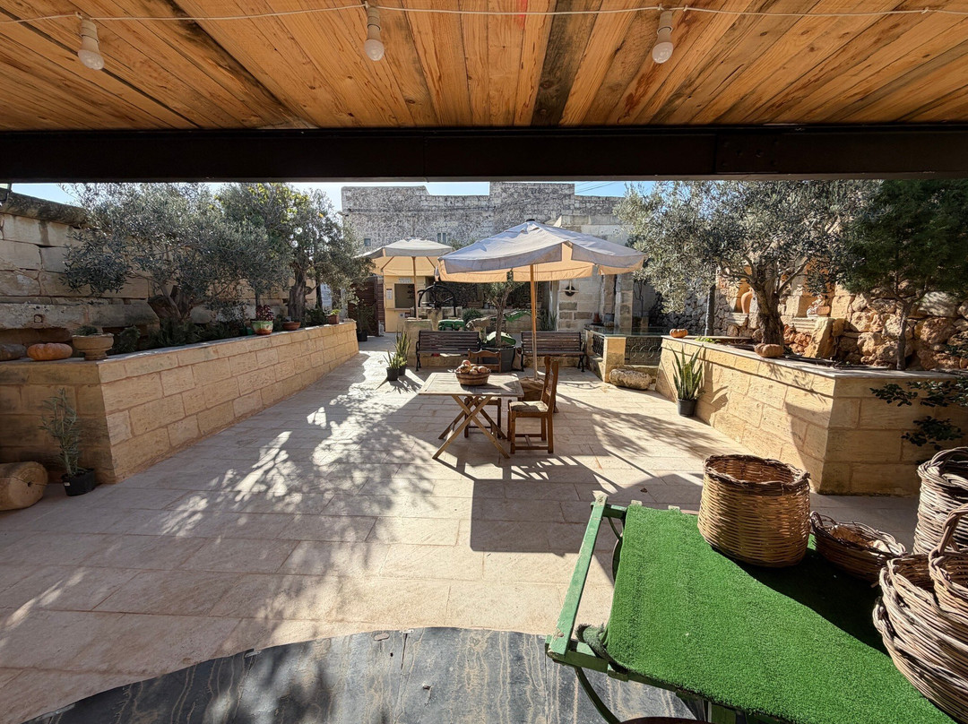 Tax-xierfa Museum-拉巴特必去景点