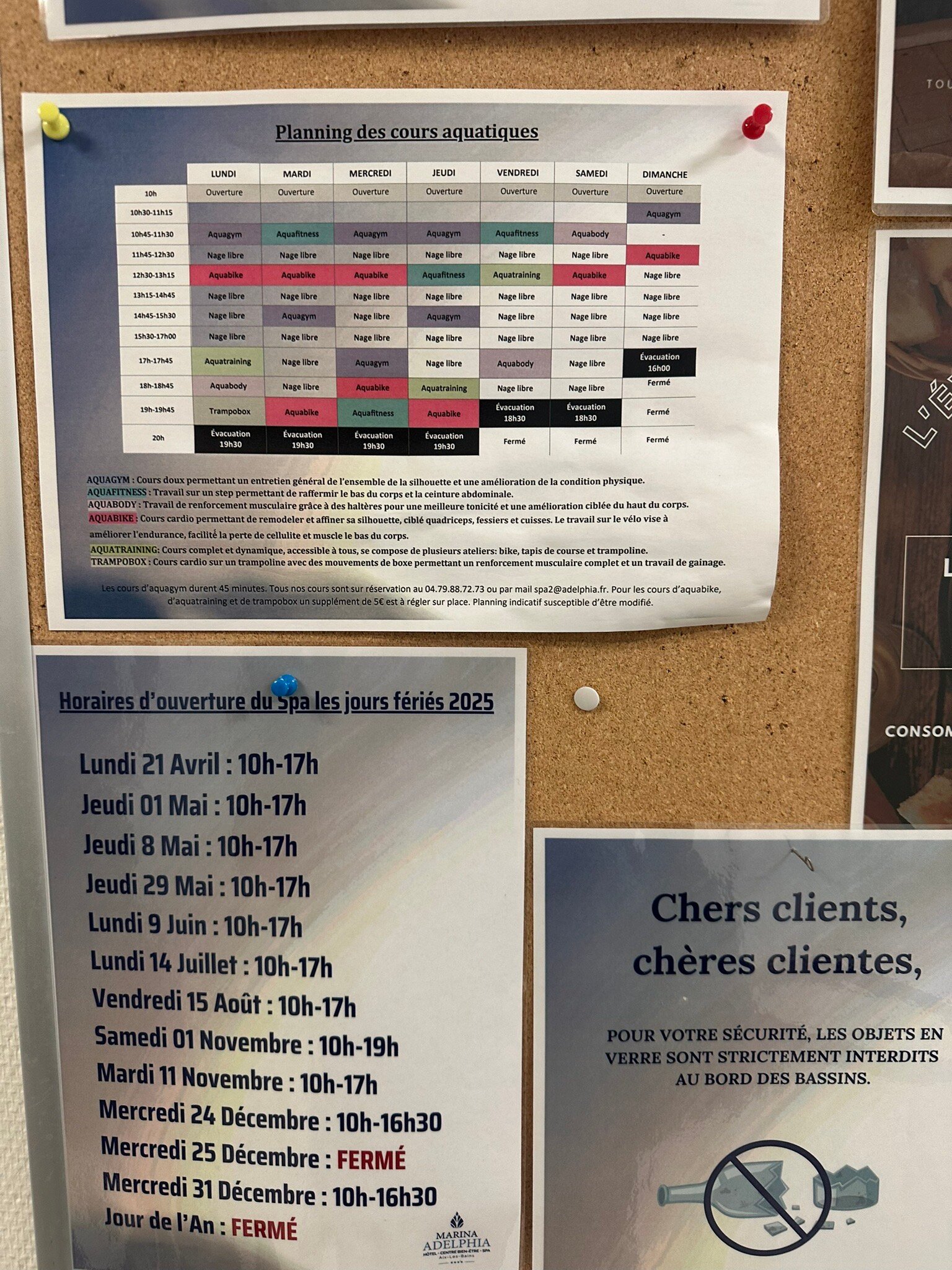 Marina Adelphia Hotel-官方