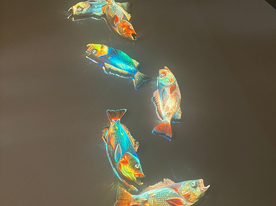 Danish Design Museum-兰讷斯必去景点