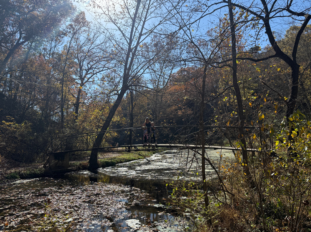 Natural Falls State Park-West Siloam Springs必去景点