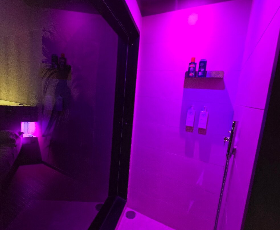 皮内塔酒店主图