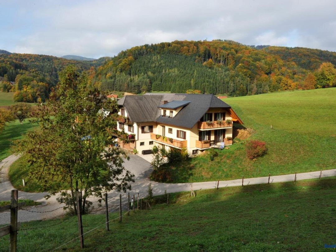 Sankt Oswald Bei Plankenwarth酒店住宿-Gasthaus-Gaestehaus Schusterbauer