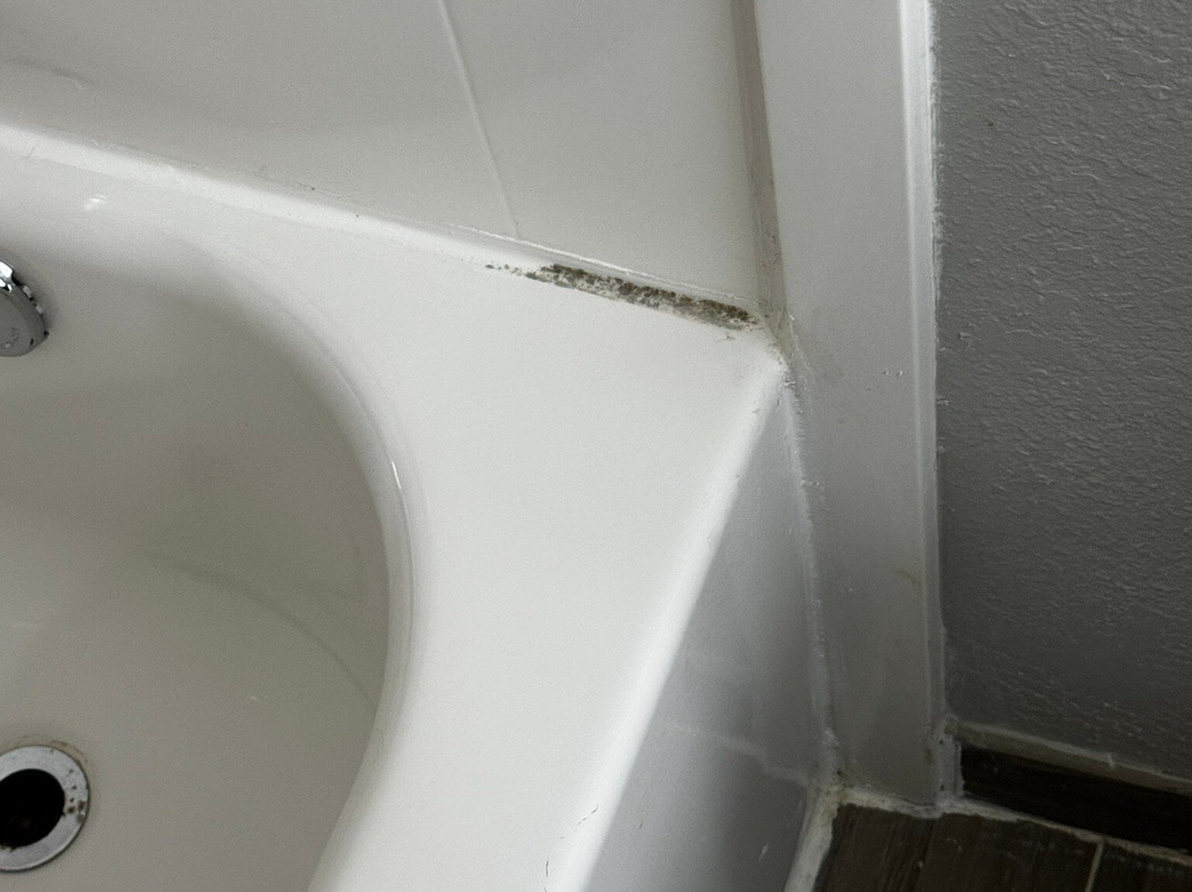 Best Western Rock Hill主图