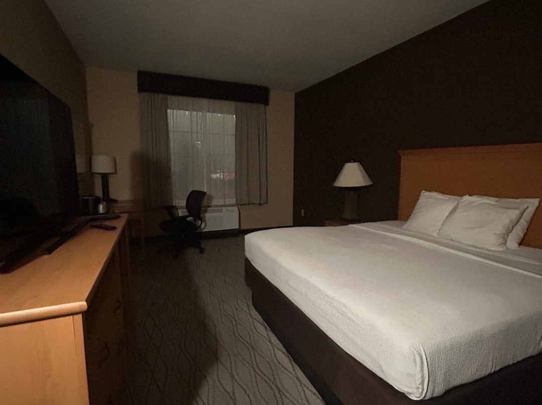 Best Western Locust Grove Inn & Suites主图