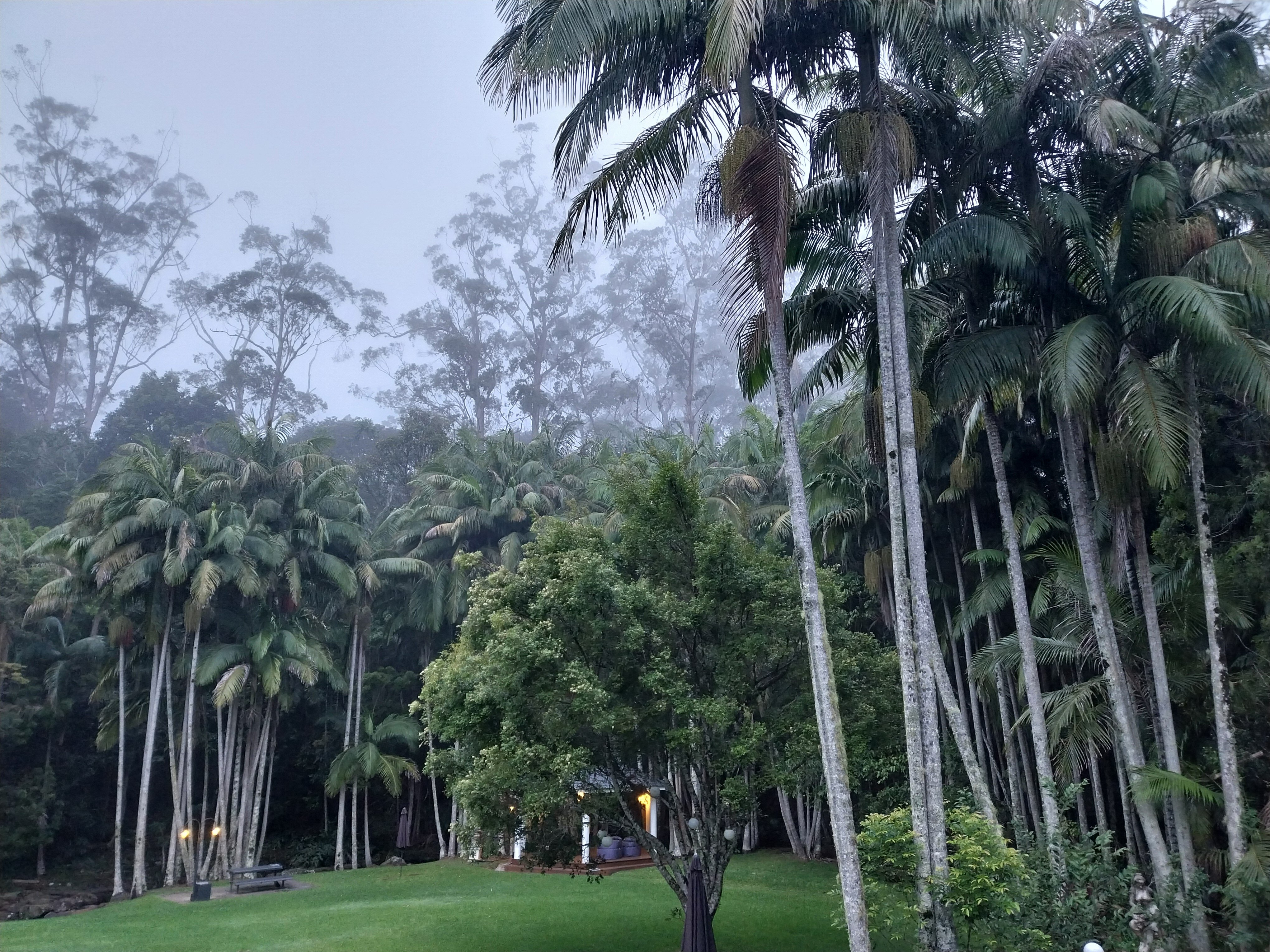 Mt Tamborine Stonehaven Guest House-官方