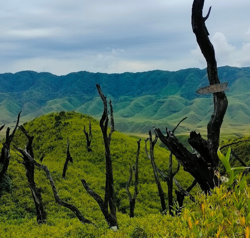 Dzukou Valley-Kohima必去景点
