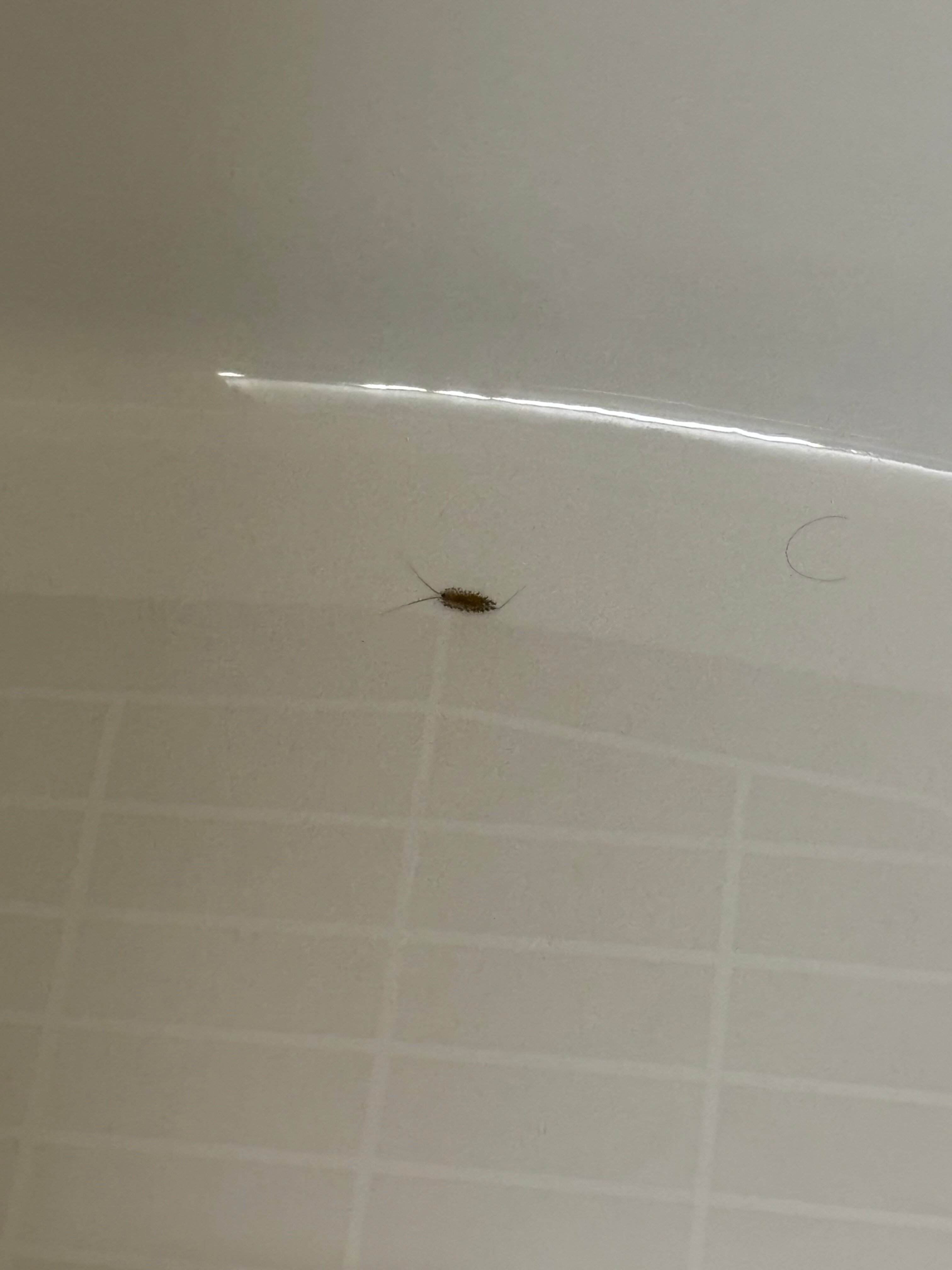 Courtyard by Marriott York-官方