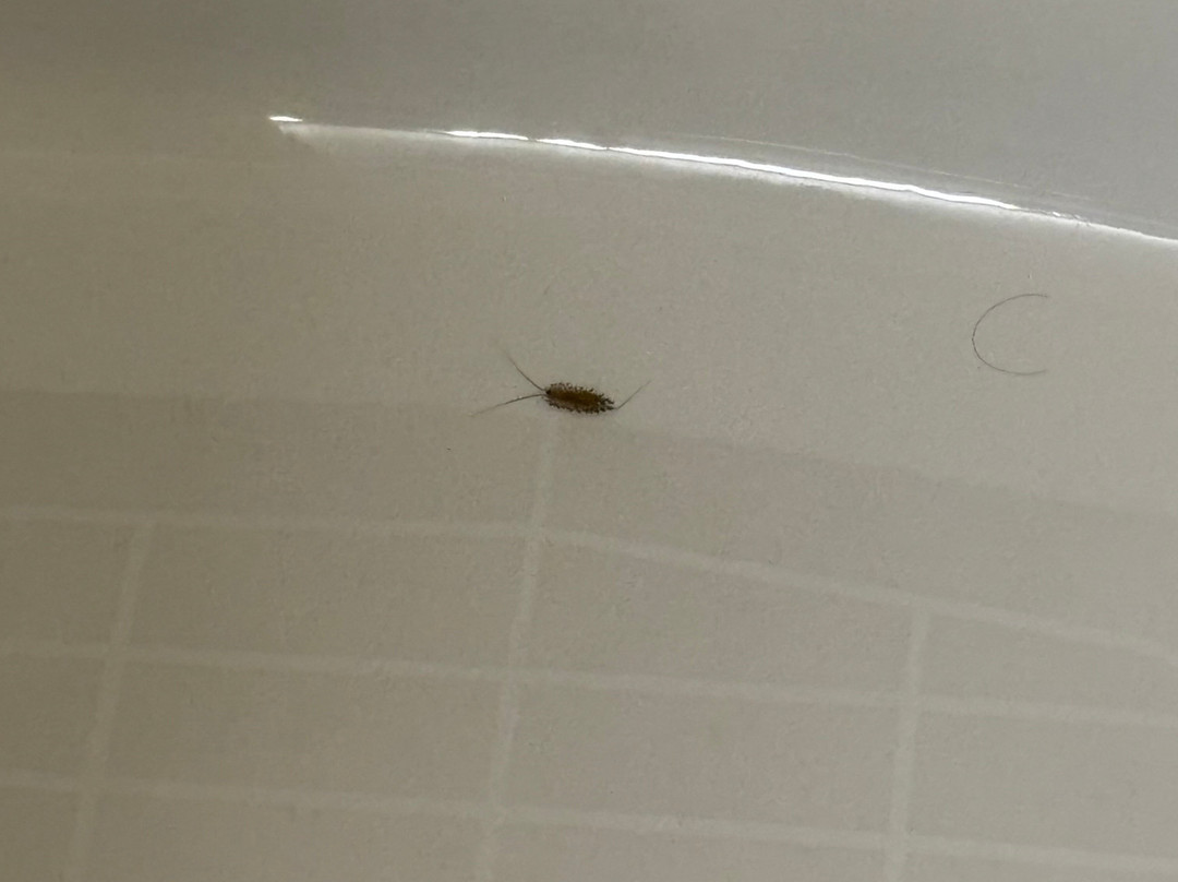 Courtyard by Marriott York主图