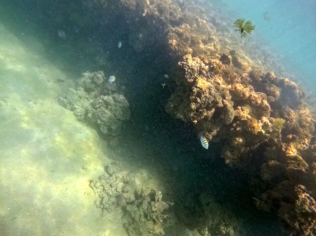 Milagres Mergulho-Sao Miguel dos Milagres必去景点