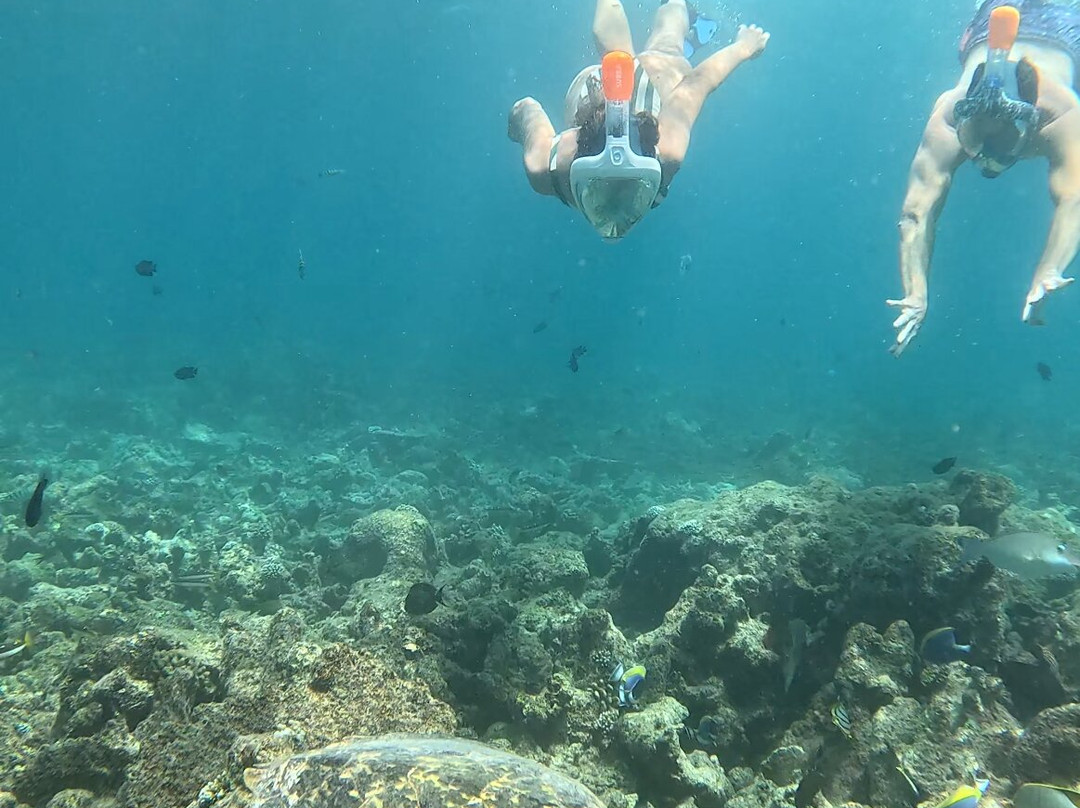 Thari Fushi Maldives主图