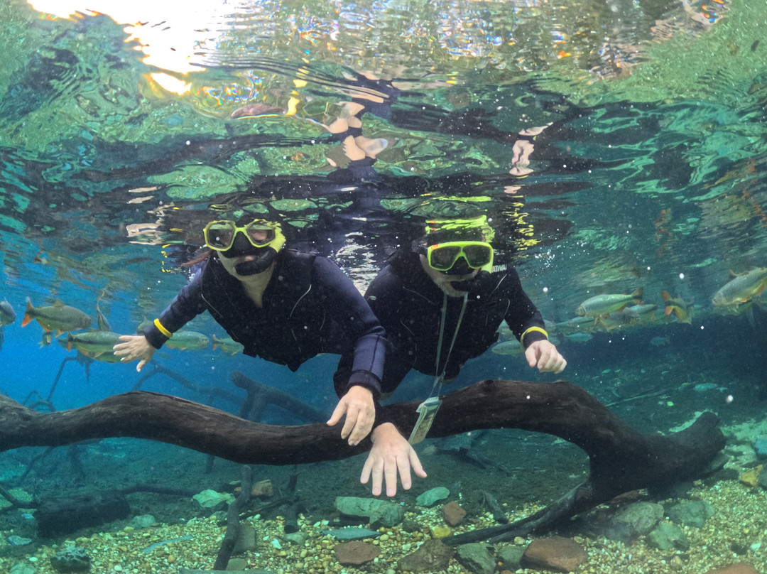 Recanto Ecologico Rio da Prata-博尼图必去景点