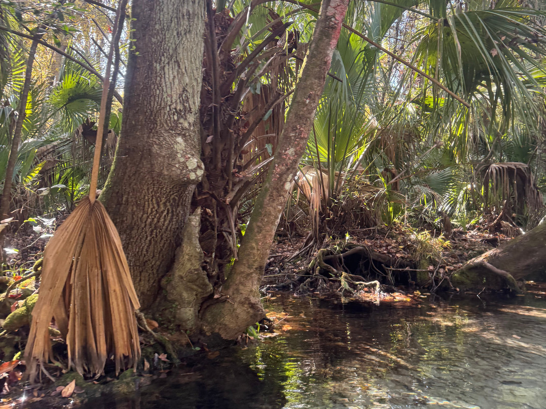 Rainbow River Kayak Adventures-Dunnellon必去景点