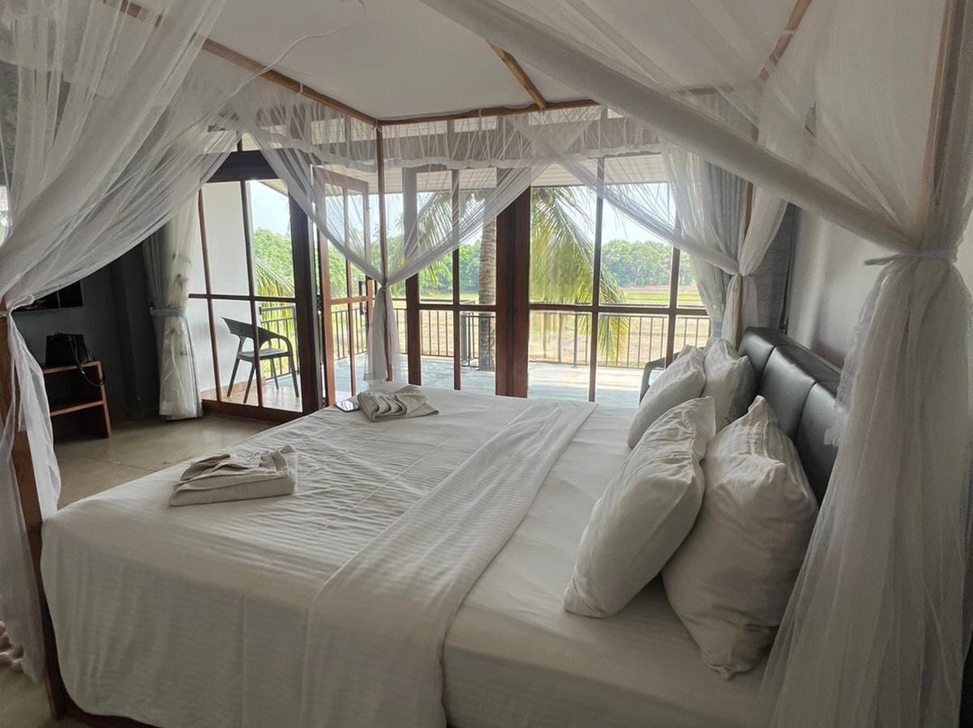 Heaven Upon Rice Fields主图