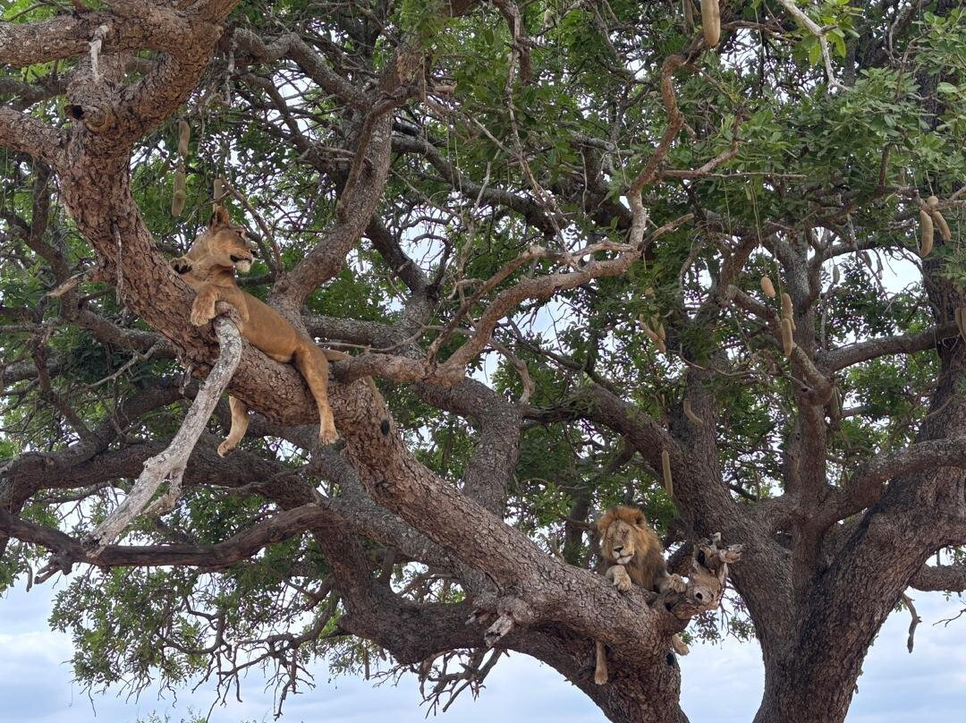 Kiliholidays Tours And Safaris-阿鲁沙必去景点