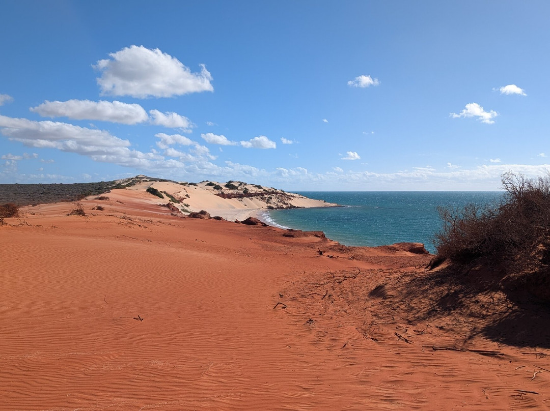 Wildsights-德纳姆必去景点