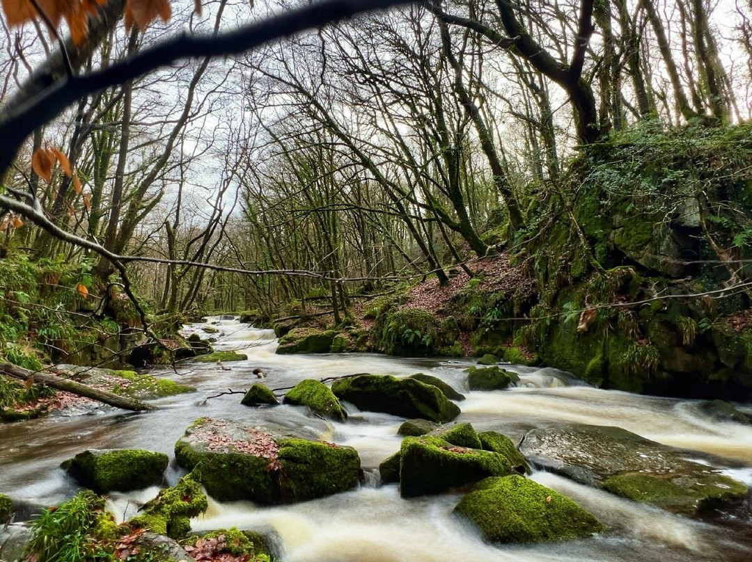Golitha Falls-利斯卡德必去景点