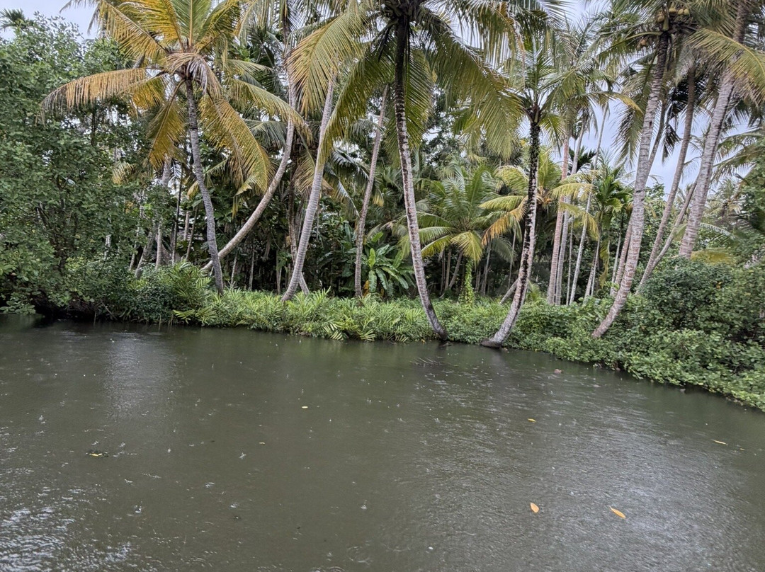 Koggala Lake Boat Safari-哈巴拉杜瓦必去景点