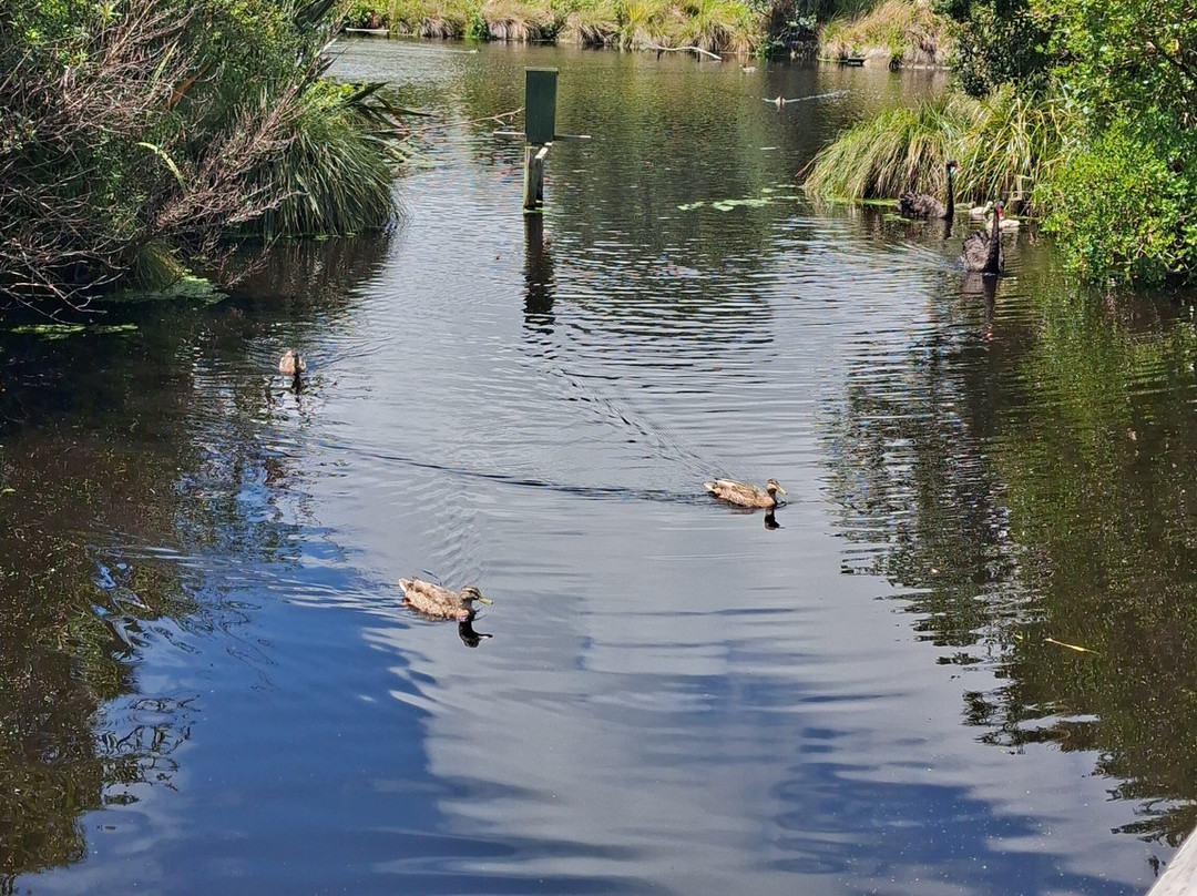 Ngā Manu Nature Reserve-怀卡尼必去景点