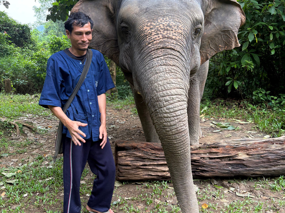 Phang Nga Elephant Park-攀牙必去景点