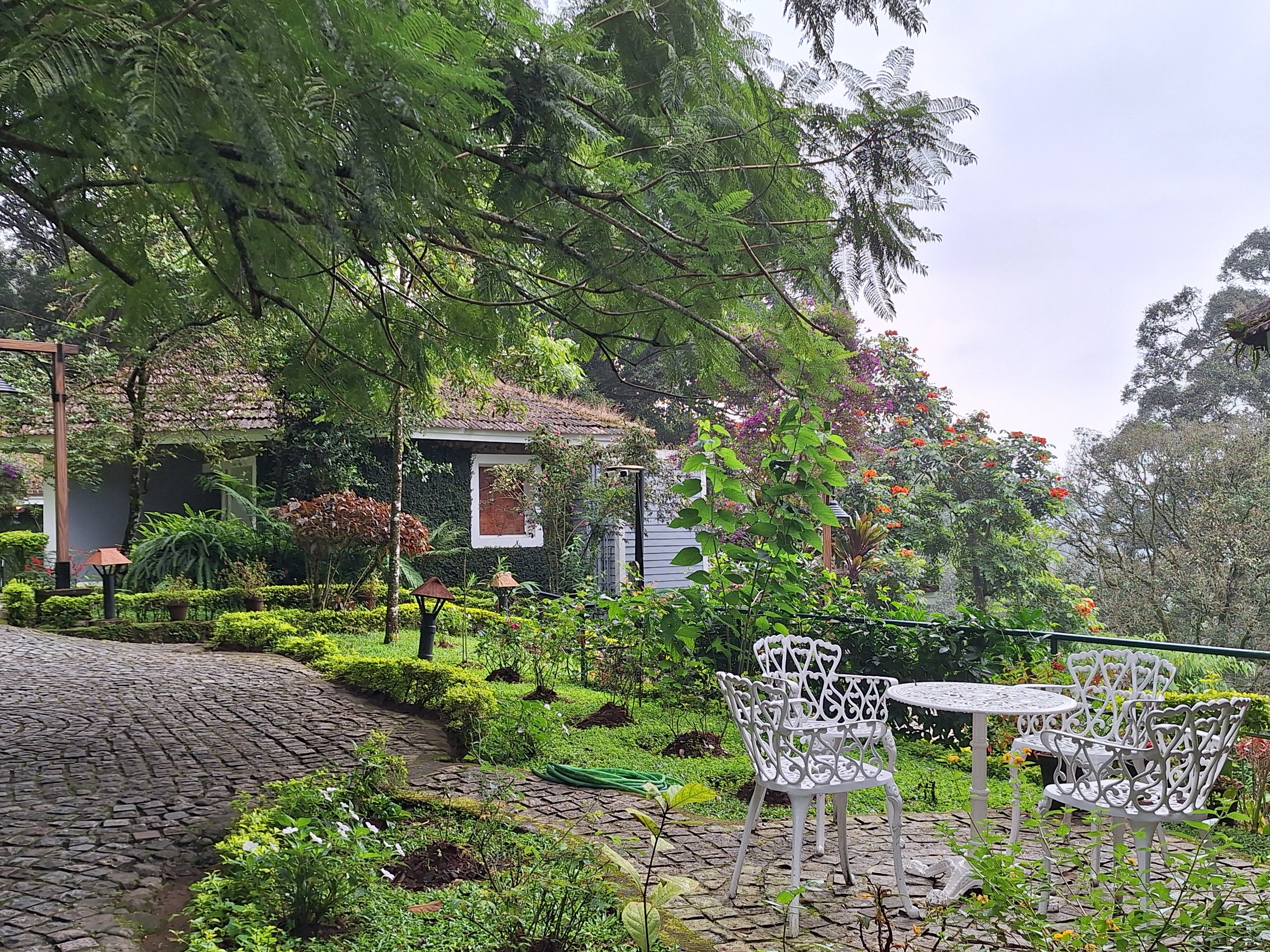 WGH Tall Trees Munnar-浴室