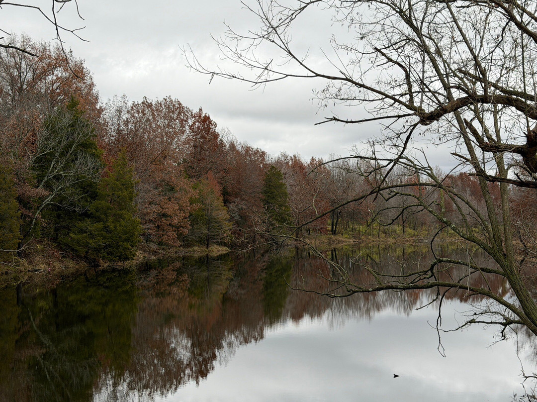 Cannon Park-Carterville必去景点