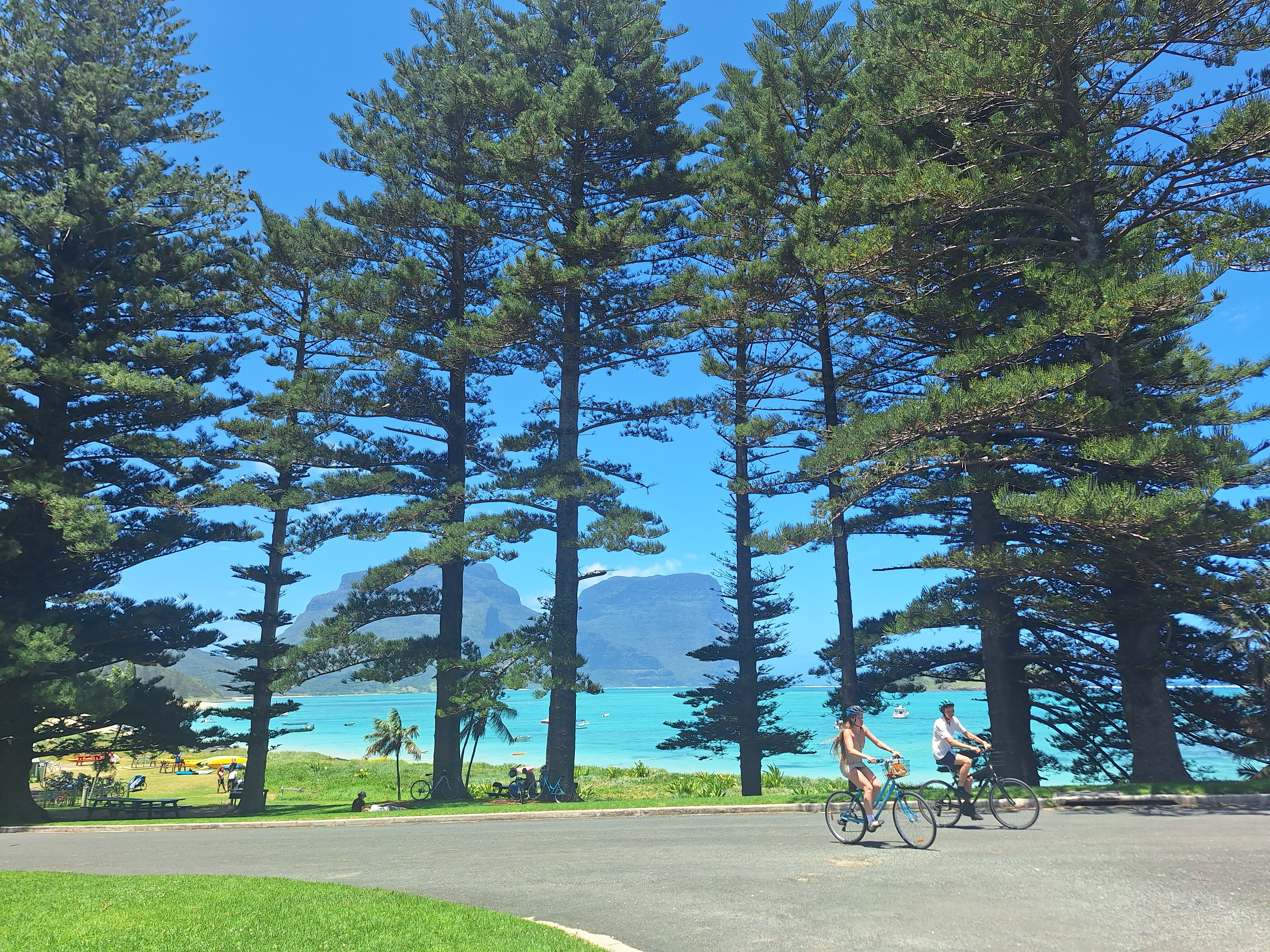 Pinetrees Lodge-官方