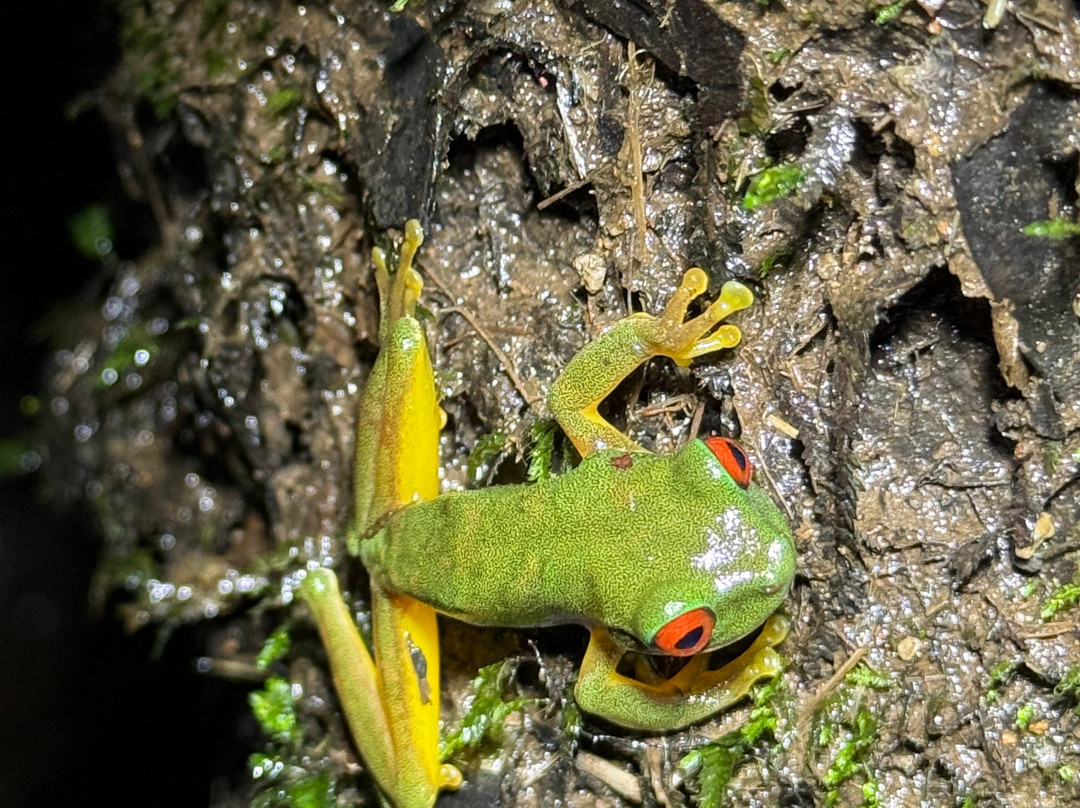 Finca Modelo Ecologica-蒙特沃德必去景点