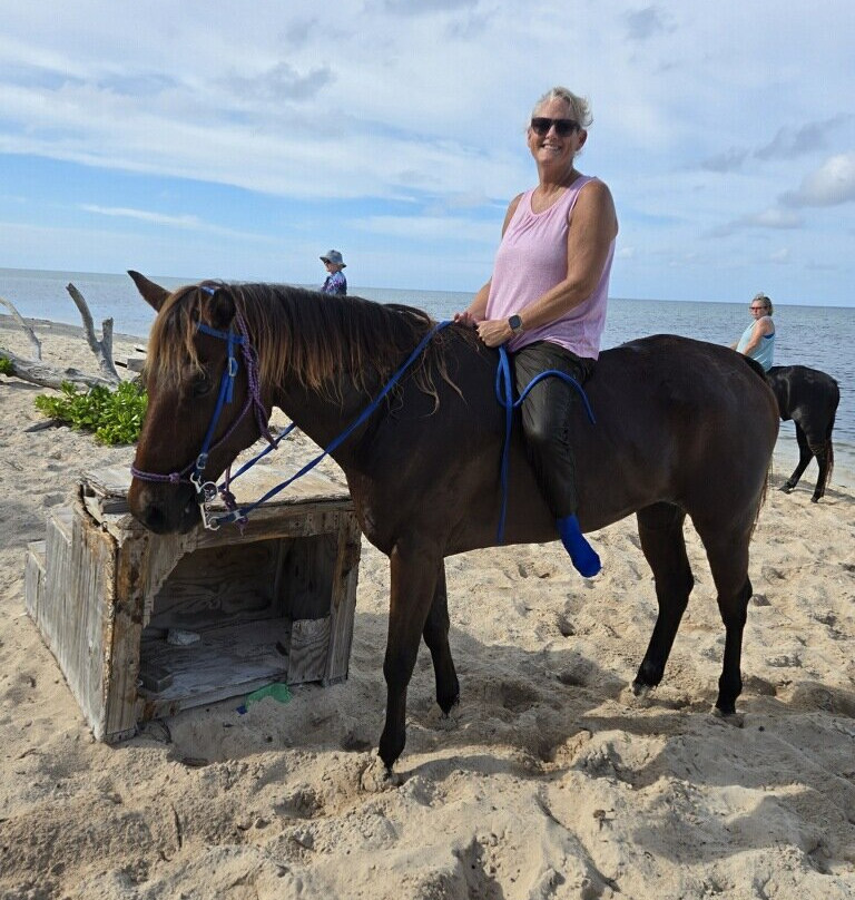 Cayman Horse Riding-西湾必去景点