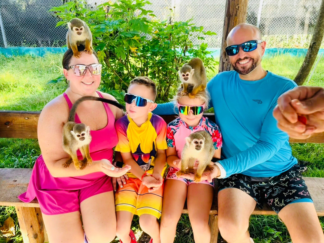 Dominican Atlantic Barney Tours-普拉塔港必去景点