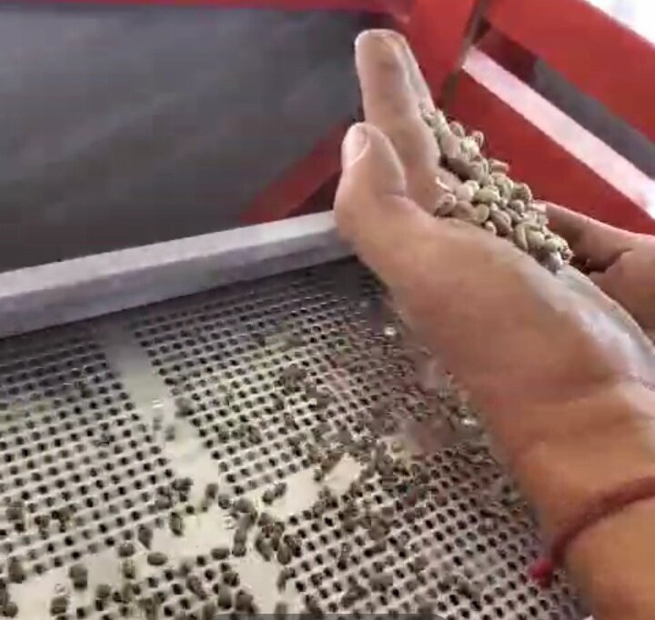 Finca Kasakumbre Specialty Coffee-San Francisco必去景点