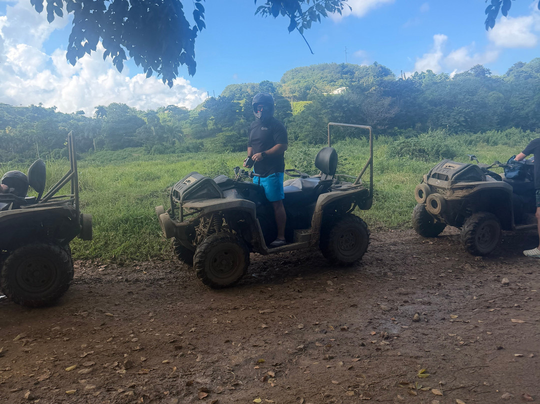 Carabali Rainforest Adventure Park-Luquillo必去景点
