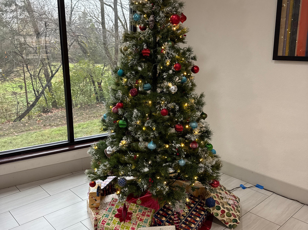 Holiday Inn Express & Suites Lebanon-nashville Area By IHG主图