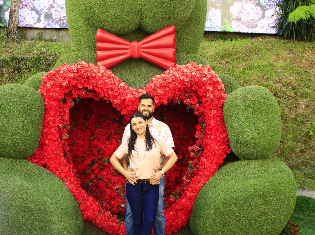 Hortênsias Garden-格拉玛多必去景点